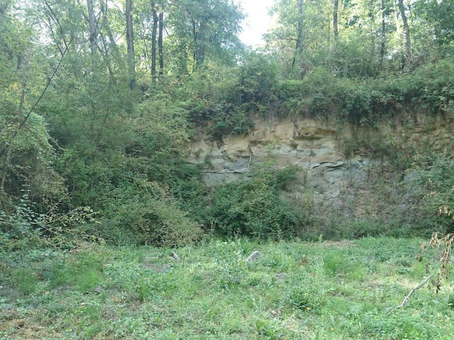 Location Meublee Au Milieu D'Un Ecrin De Verdure Aux Vieux Fours Noaillac Экстерьер фото